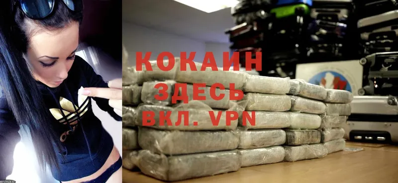 hydra ONION  закладки  Жуковка  Cocaine Перу 